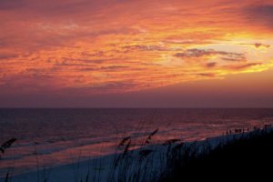 47319_635362670982_766078_n