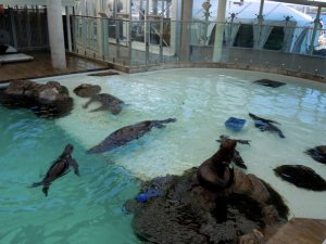 283617_917508907662_707672808_n