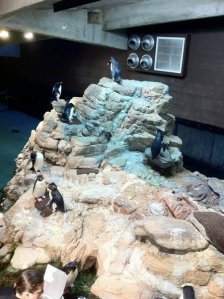 380291_917509935602_1202160999_n