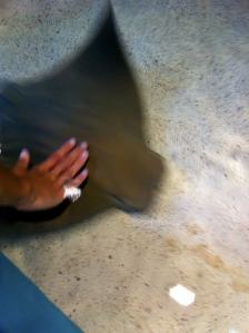 526918_917510314842_633873532_n