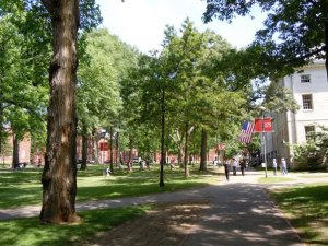 Harvard campus