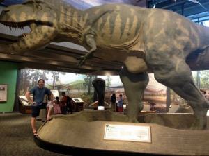 558223_938843473022_1846576691_n