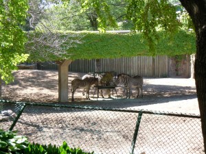 Lincoln Park Zoo
