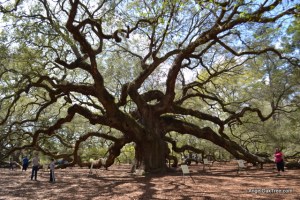 via angeloaktree.com