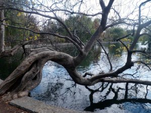 149282_644896994122_4923451_n