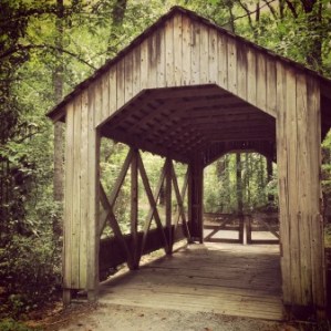 Pretty scenery on the Cape Fear River Trail