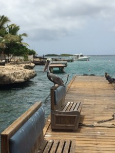 A little friend joined us for lunch!