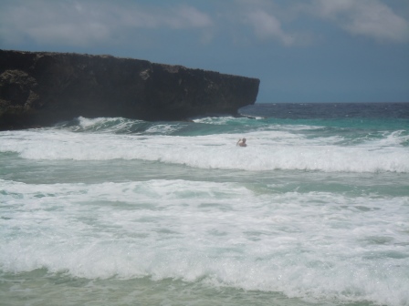 Alex swimming near Moro