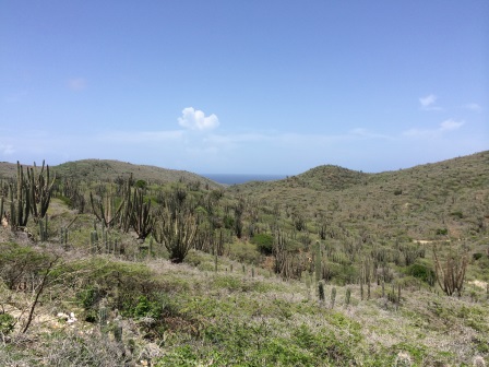 View from Arikok Hill