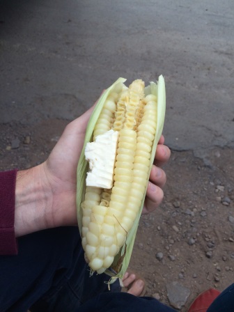 Andean corn and cheese is a great snack! The saltiness of the cheese pairs perfectly with the sweet crunch of the corn.