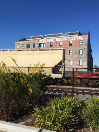 New Orleans, YOU are beautiful!