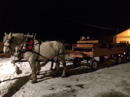Horse drawn carriage
