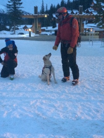 Another activity: Learn about the avalanche dogs and watch a demonstration. So much fun!