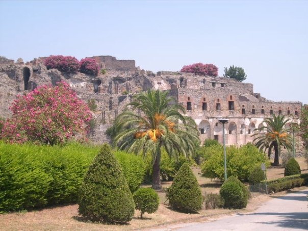 10400917_540816736792_9754_n