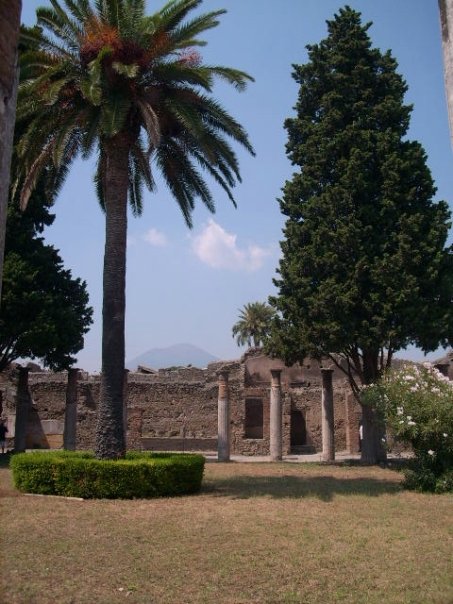 10400917_540816801662_4636_n