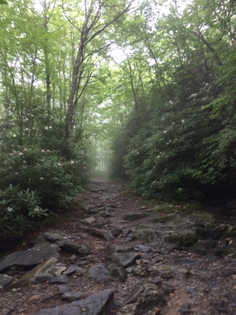 The hike was a bit misty at first!