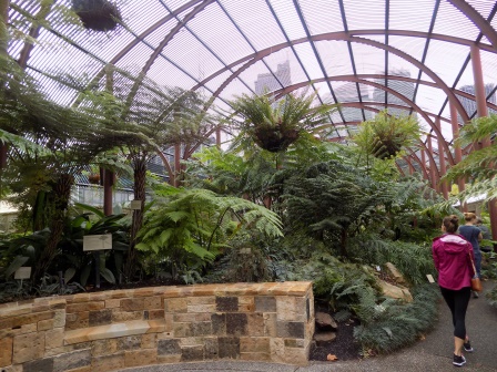 We learned a lot about ferns in the Botanical Gardens