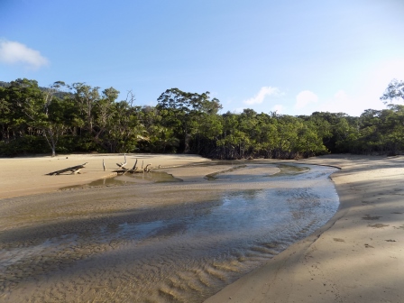 Where the Daintree River meets the Coral Sea