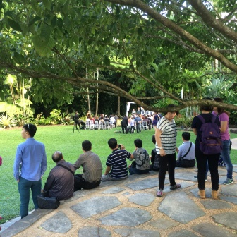 Wedding crashers in the Cairns Botanical Gardens