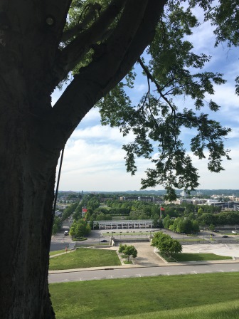 View of the park from the Capitol 