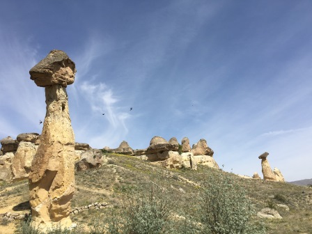 Mushroom tops - the stone on top seems to unnaturally balance on a pillar of stone.