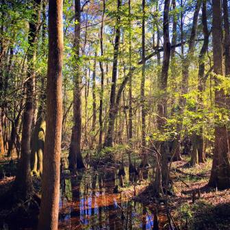 12246870_10100879446598792_1124273253621344902_n