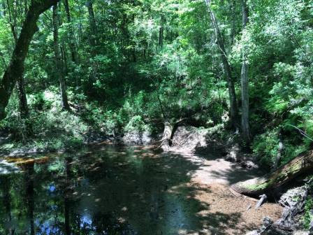 13465958_10101051058846472_7357035140239583057_n