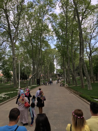 Tree-lined streets in Istanbul