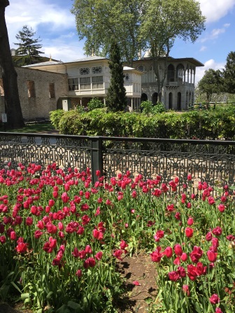 Tulips in the Topkapi Palace