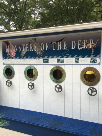 Gulf Specimen Marine Laboratory was first to have the ability to examine specimens 360 degrees around