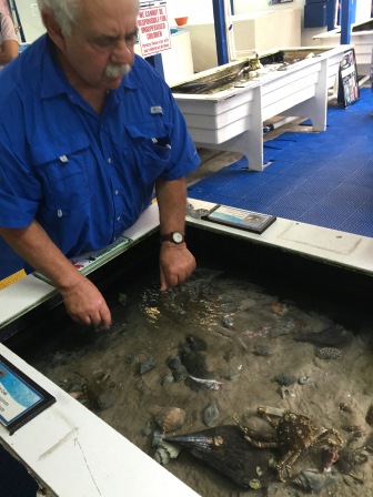 Jack showing us the crab touch tanks