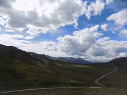 The park road only cuts through a fraction of the park