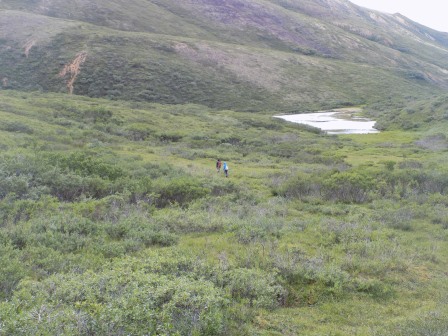 Hiking in the backcountry