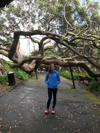 Walking tour in Auckland
