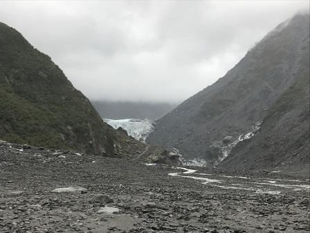 Fox Glacier