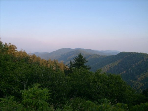 10400917_540812395492_9518_n