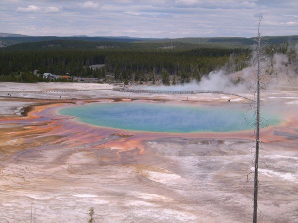 1927850_508410244662_7193_n