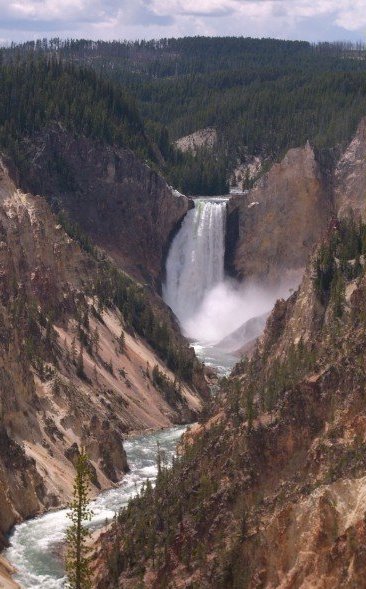 1928972_508410089972_2068_n